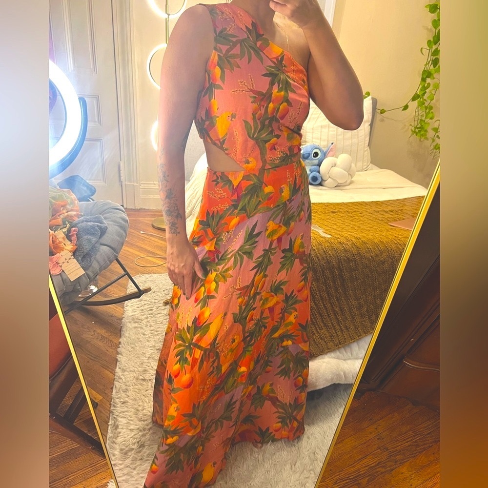 FARM Rio Multicolor Maxi Dress - Picture 3 of 9